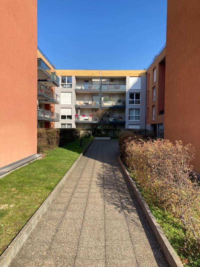 Le Gite De Marc - Parking Prive Gratuit + Terrasse Colmar Dış mekan fotoğraf